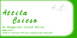 attila csicso business card